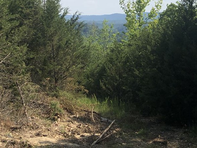 Hunting / Recreation Land for Sale : Calico Rock : Izard County : Arkansas