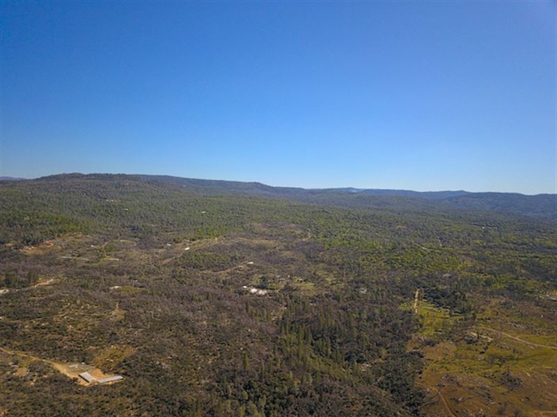 40.17 Ac in Butte County, CA : Oroville : Butte County : California