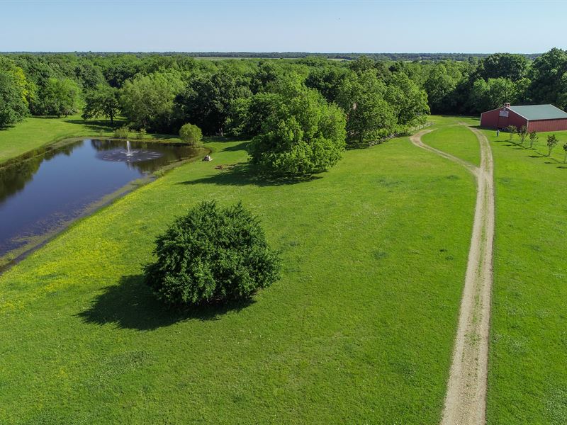 Egert 192 Acres : Ben Franklin : Delta County : Texas