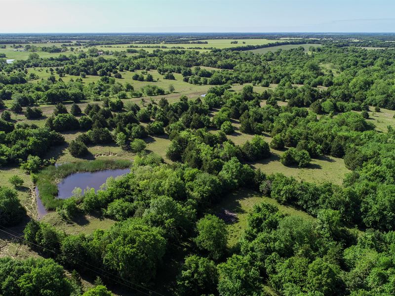 Egert 135 Acres : Ben Franklin : Delta County : Texas
