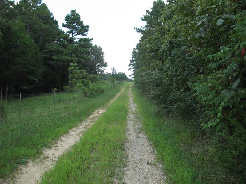 Land Joins National Forest 3 Sides : Willow Springs : Howell County : Missouri