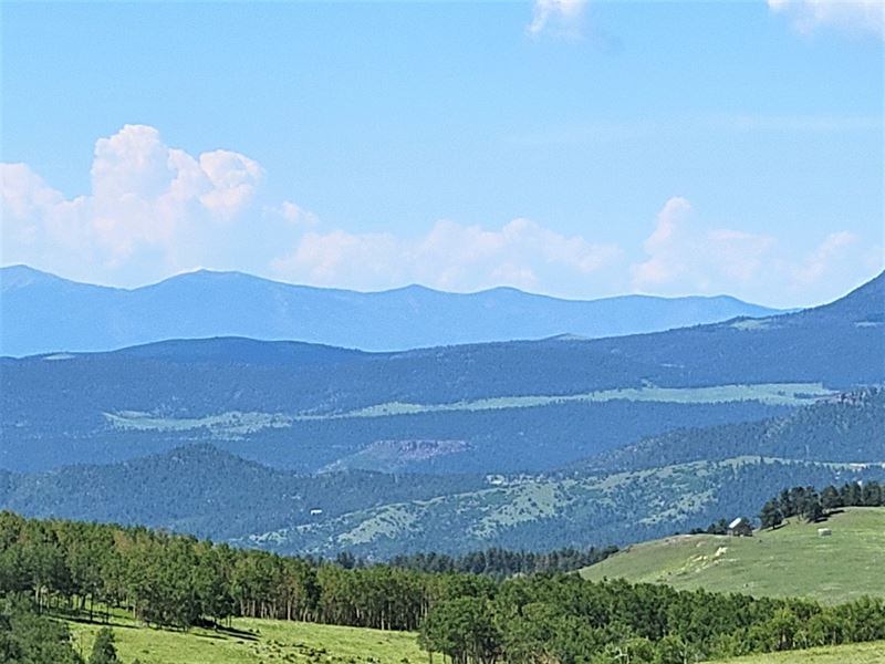 Gacke Acres : Guffey : Park County : Colorado