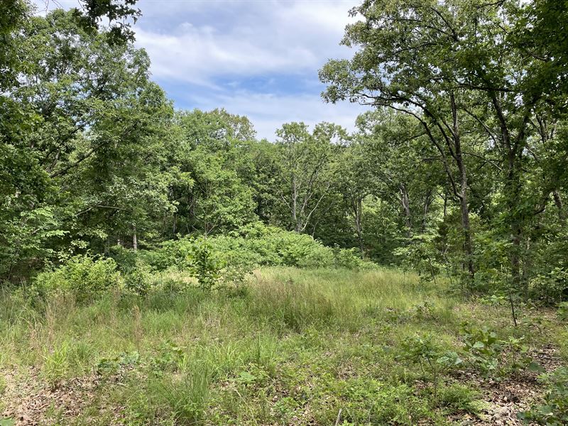 32 Acres Land Close to Lake Ozarks : Barnett : Morgan County : Missouri