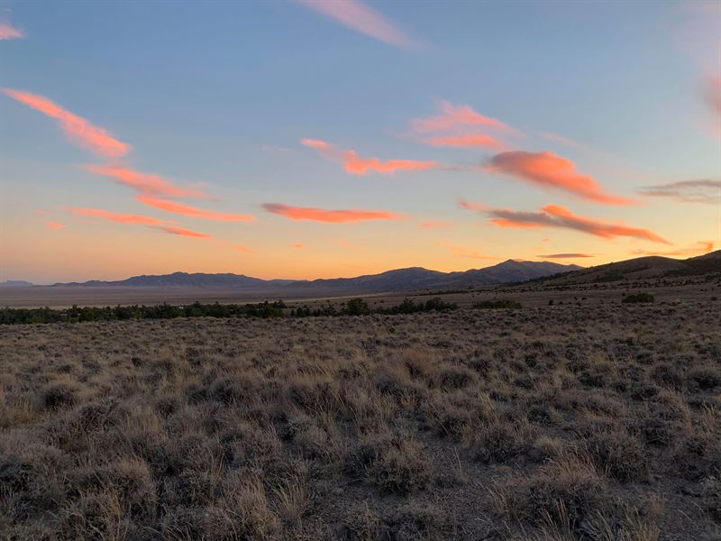 10 Acres of Privacy in Elko County : Montello : Elko County : Nevada