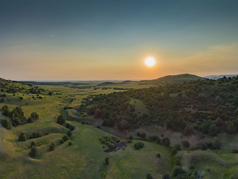 Dry Creek Ranch Near Trinidad, CO : Trinchera : Las Animas County : Colorado