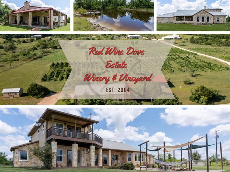 Red Wing Dove Winery and Vineyard : Hamilton : Hamilton County : Texas