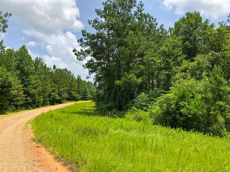 158 Acres, CR 444 : Chireno : Nacogdoches County : Texas