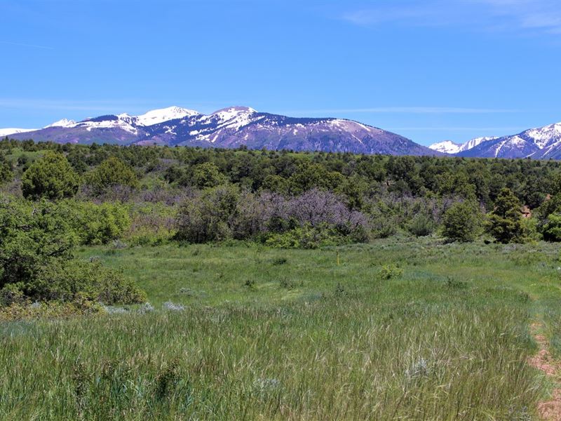 Split Fork Ranch : Hesperus : La Plata County : Colorado