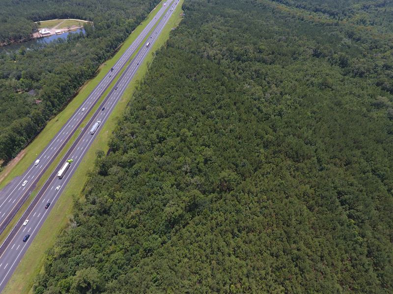 Pine Harbor North Tract : Townsend : McIntosh County : Georgia