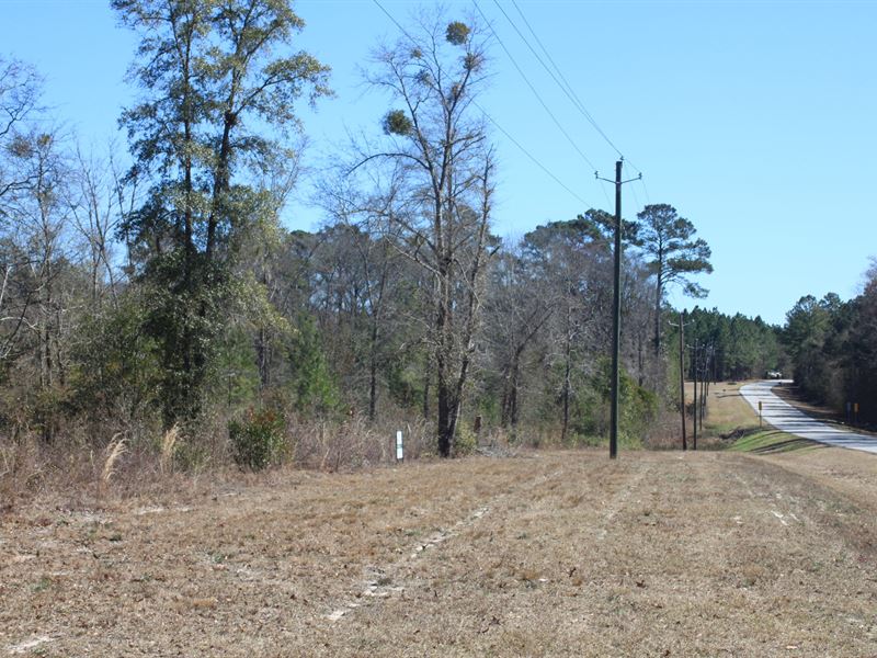 Mingledorff Branch : Clyo : Effingham County : Georgia