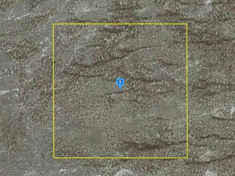 Land by Burning Man's Black Rock : Winnemucca : Humboldt County : Nevada