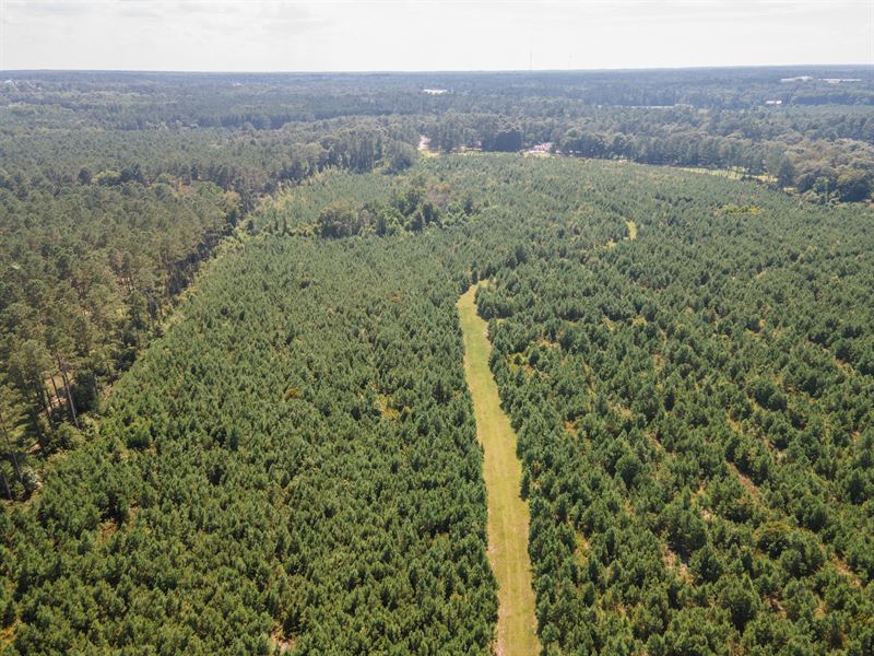 Friendship Pines, Tract 1 : Sylvania : Screven County : Georgia