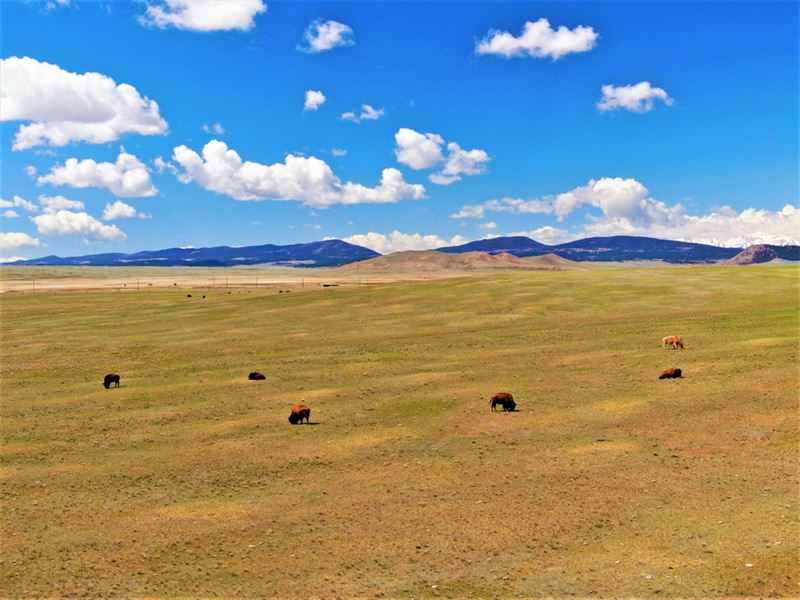 Little Yellowstone Ranch : Hartsel : Park County : Colorado