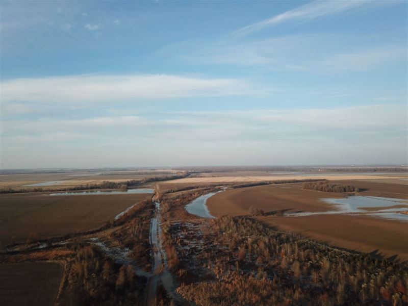 Thierry Farm 248, Leflore County : Minter : Leflore County : Mississippi
