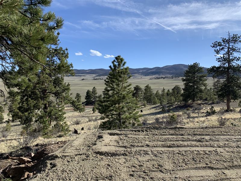 2 Acre Building Lot in Ror : Hartsel : Park County : Colorado