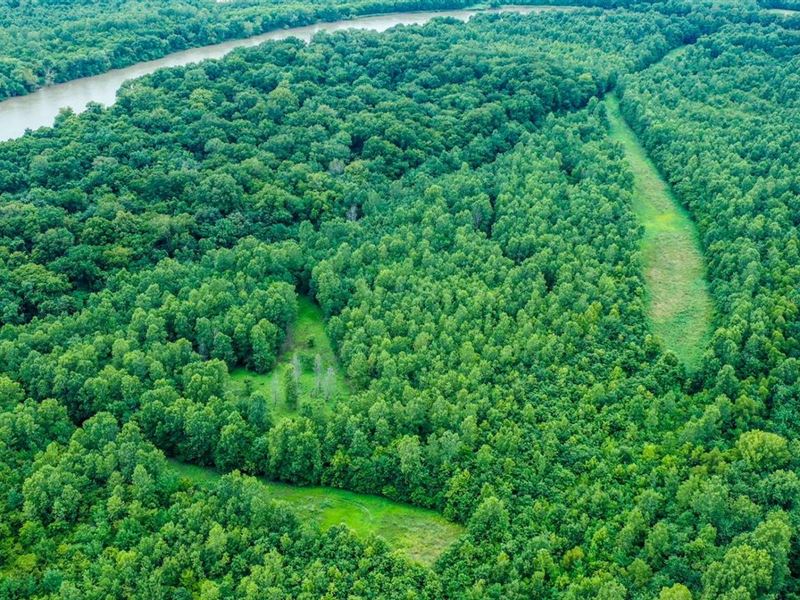 Nine Mile Point : Bald Knob : White County : Arkansas