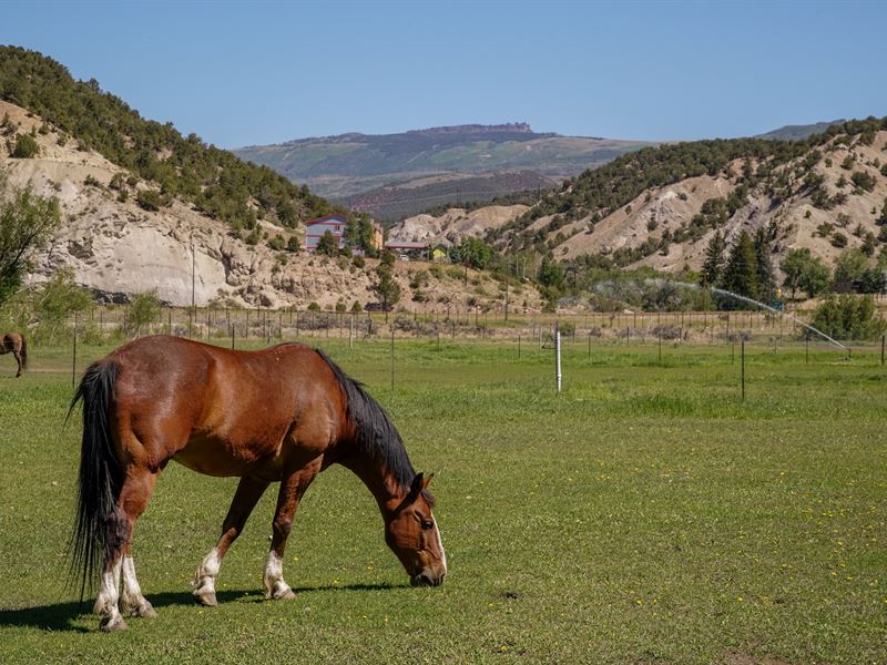Eagle River Case Ranch : Eagle : Eagle County : Colorado