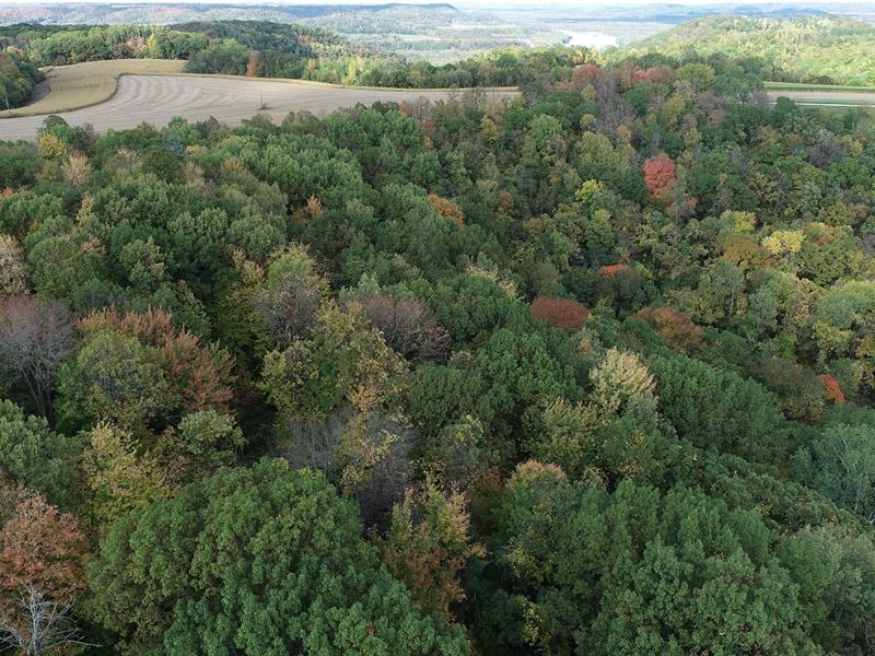 24 Acres Pepin County : Pepin : Pepin County : Wisconsin
