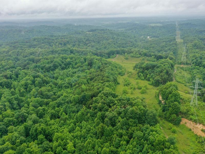 Oil Hollow Rd, 122 Acres, Gallia : Gallipolis : Gallia County : Ohio