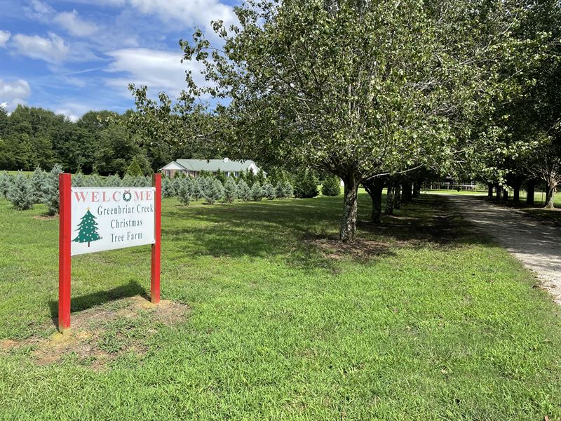 Greenbriar Christmas Tree Farm 1 : Bishop : Oconee County : Georgia