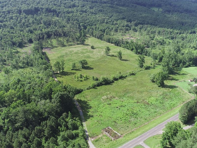 62 Acres, Pasture & Creek : Gallant : Saint Clair County : Alabama