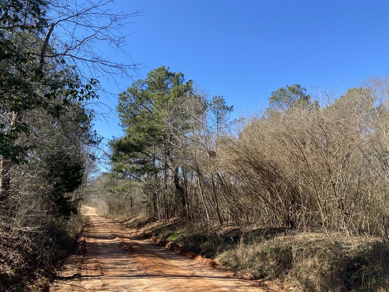 Country Living in Schley County : Ellaville : Schley County : Georgia