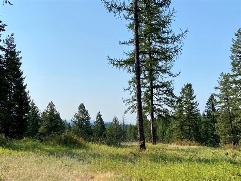 Easy Access & Very Private : Bigfork : Flathead County : Montana