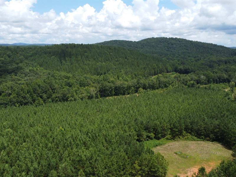 36 Acres Recreational : Talladega : Clay County : Alabama