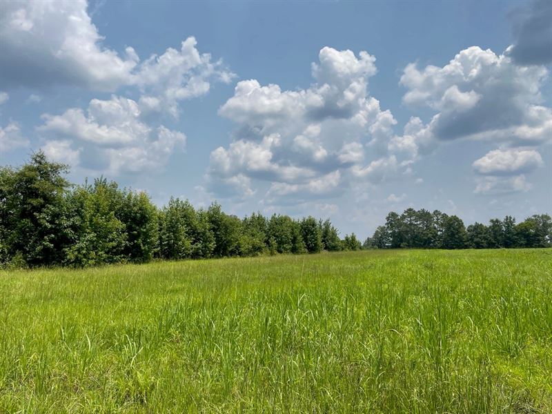 Lake Oconee Pasture : Buckhead : Morgan County : Georgia