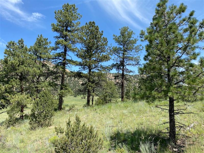Summer Valley Ranch : Westcliffe : Custer County : Colorado