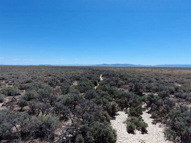 $999 Down, 20Ac, Iron County, UT : Beryl : Iron County : Utah