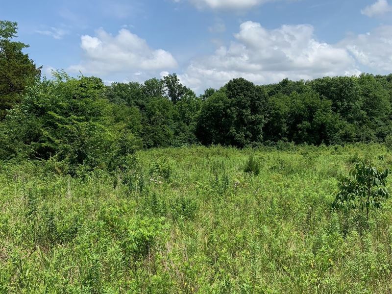 Beautiful 57 Acres Outside : Jefferson City : Cole County : Missouri