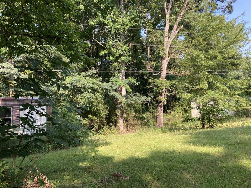 Chilton County Tract : Clanton : Chilton County : Alabama