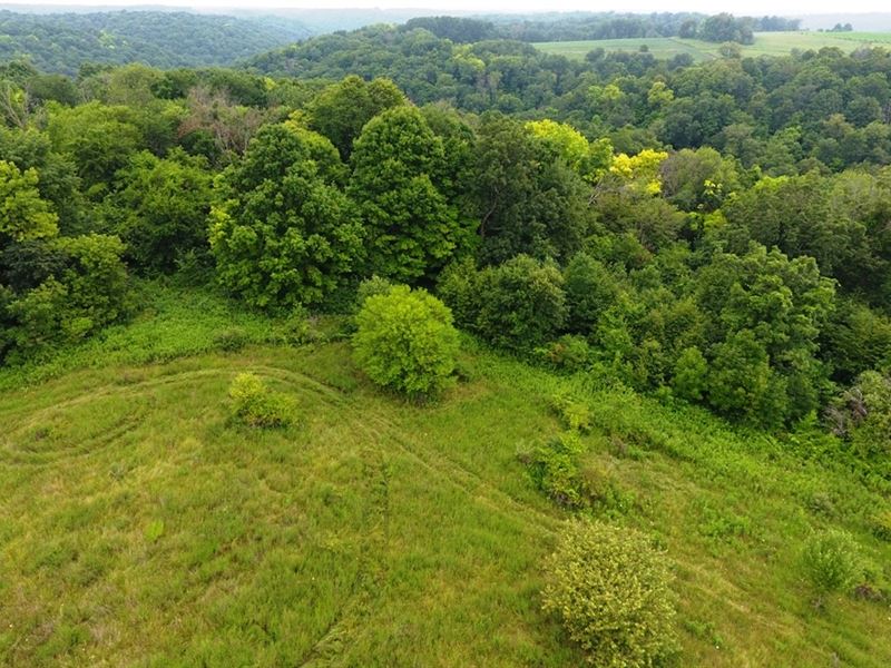 83 +/- Ac West Ridge Road : Blue River : Richland County : Wisconsin
