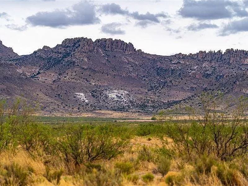 Rough Diamond of Cochise County : San Simon : Cochise County : Arizona