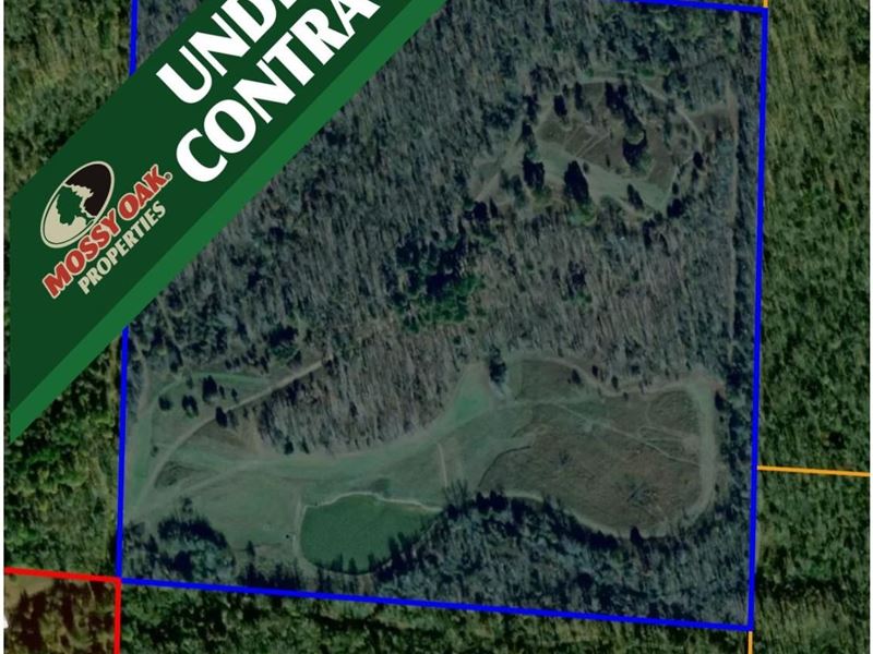 40+ Acres Hunting, Back 40 Bucks : Conway : Faulkner County : Arkansas