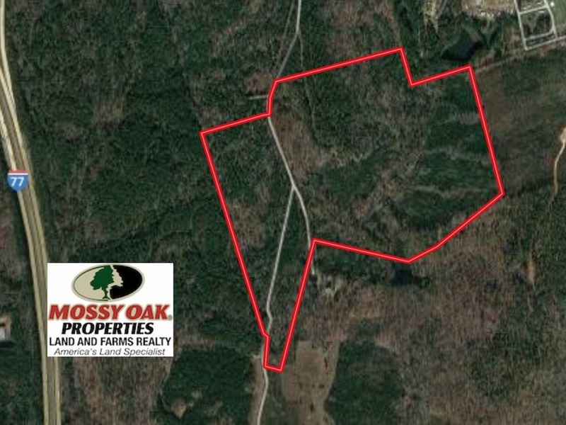 105 Acres of Hunt : Ridgeway : Fairfield County : South Carolina