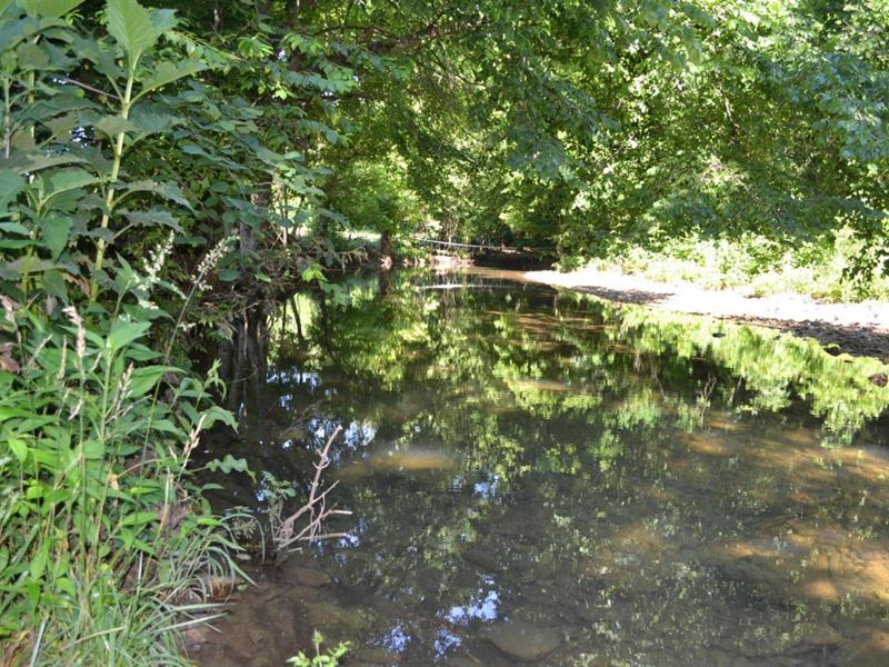 Great Property, Views, Community : Marshall : Searcy County : Arkansas