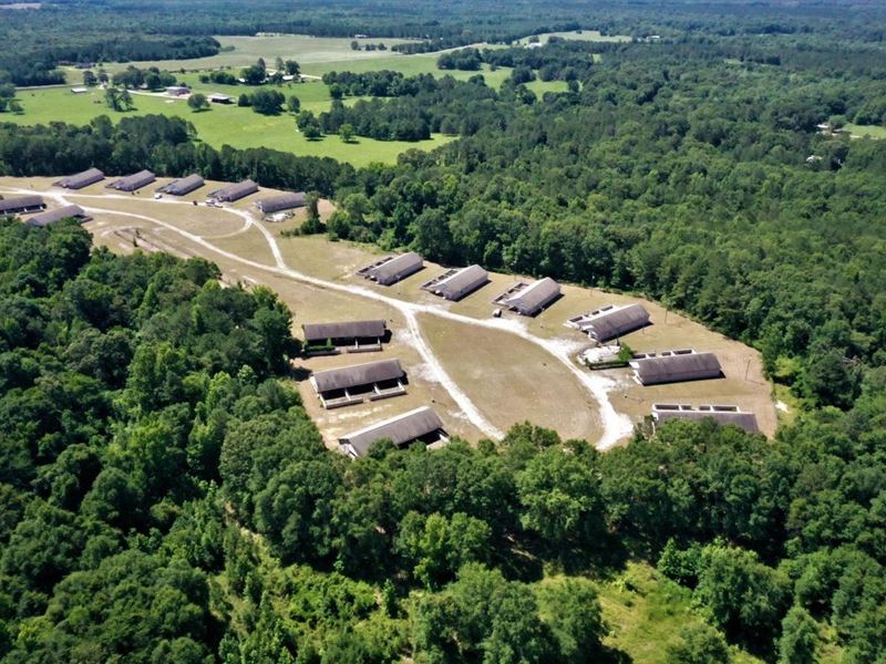 Macon County Dog Kennels : Shorter : Macon County : Alabama