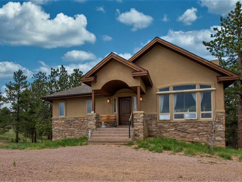 Secluded Serenity : Florissant : Park County : Colorado