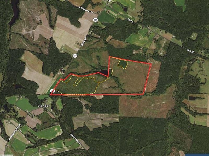 190 Acres of Timb : Emporia : Greensville County : Virginia