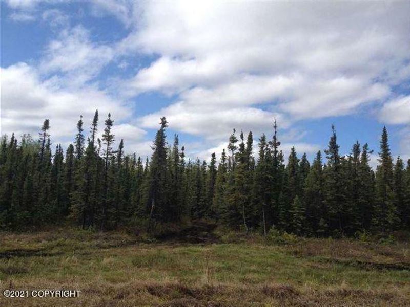 Nice 38.5 Acre Level Lot. Remote WI : Healy : Denali Borough : Alaska