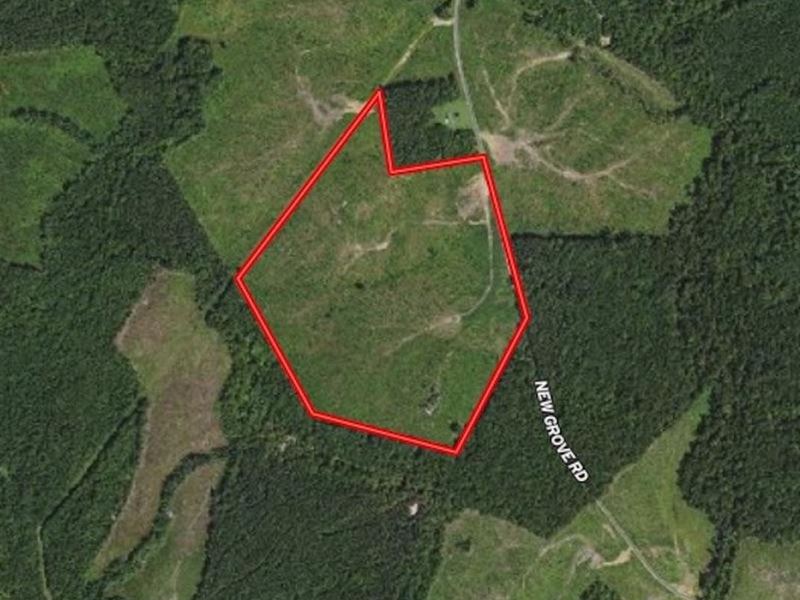 58 Acres of Recre : Kenbridge : Lunenburg County : Virginia