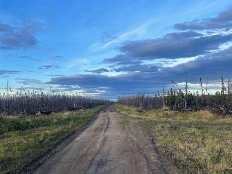 Two Lots Totaling 75Ac with Roads : Anderson : Denali Borough : Alaska