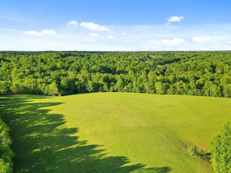 30 Acres Just South of Williamson : Bon Aqua : Hickman County : Tennessee