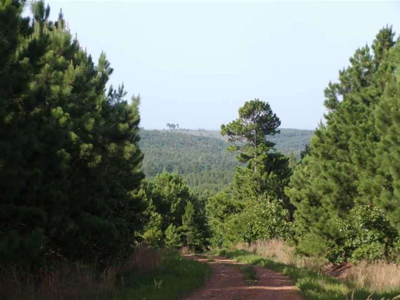 Secluded Off Grid Hunting Oasis Nea : Rattan : Pushmataha County : Oklahoma
