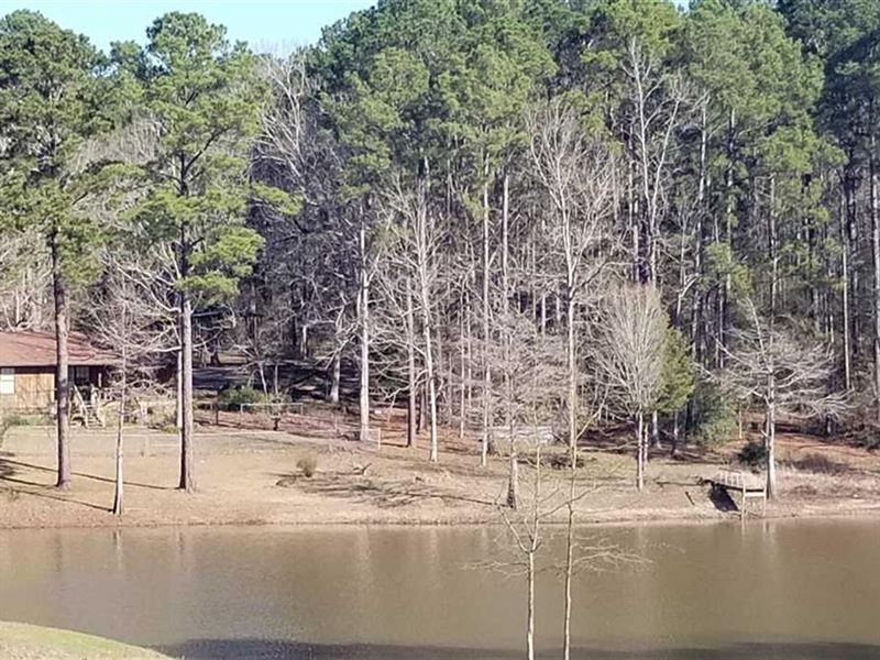 The Ponderosa Acres, Sabine Parish : Zwolle : Sabine Parish : Louisiana