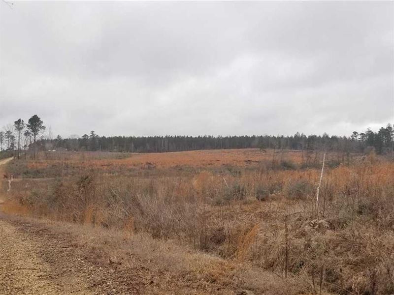 Switch Grass Tract, Winn Parish : Winnfield : Winn Parish : Louisiana