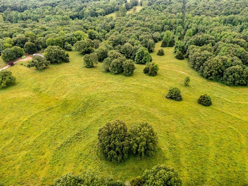200 Acres, House, Pasture, Matu : Strawberry : Sharp County : Arkansas
