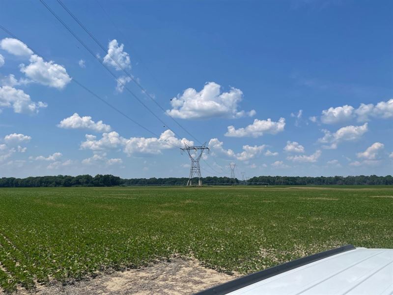 MS County 283 : Driver : Mississippi County : Arkansas